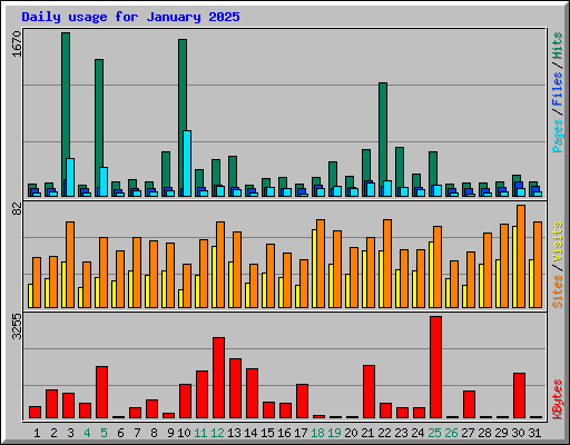 Daily usage for January 2025
