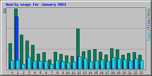 Hourly usage for January 2023