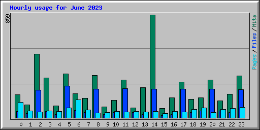 Hourly usage for June 2023