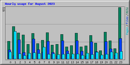 Hourly usage for August 2023