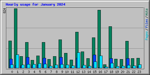Hourly usage for January 2024