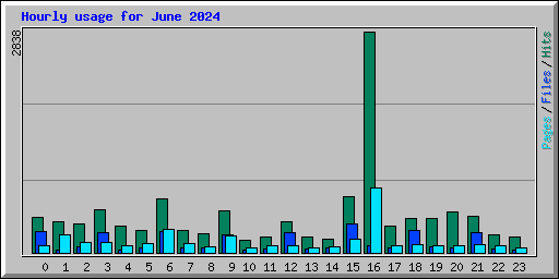 Hourly usage for June 2024