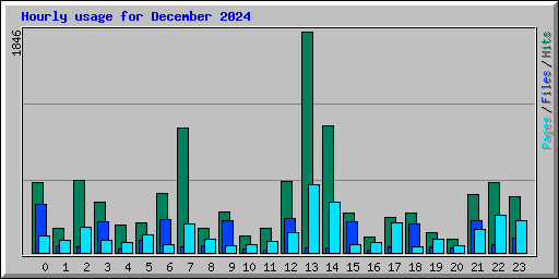 Hourly usage for December 2024