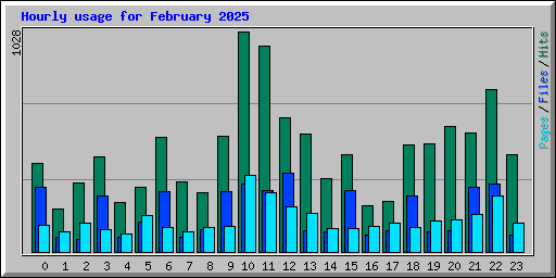 Hourly usage for February 2025