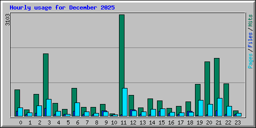 Hourly usage for December 2025